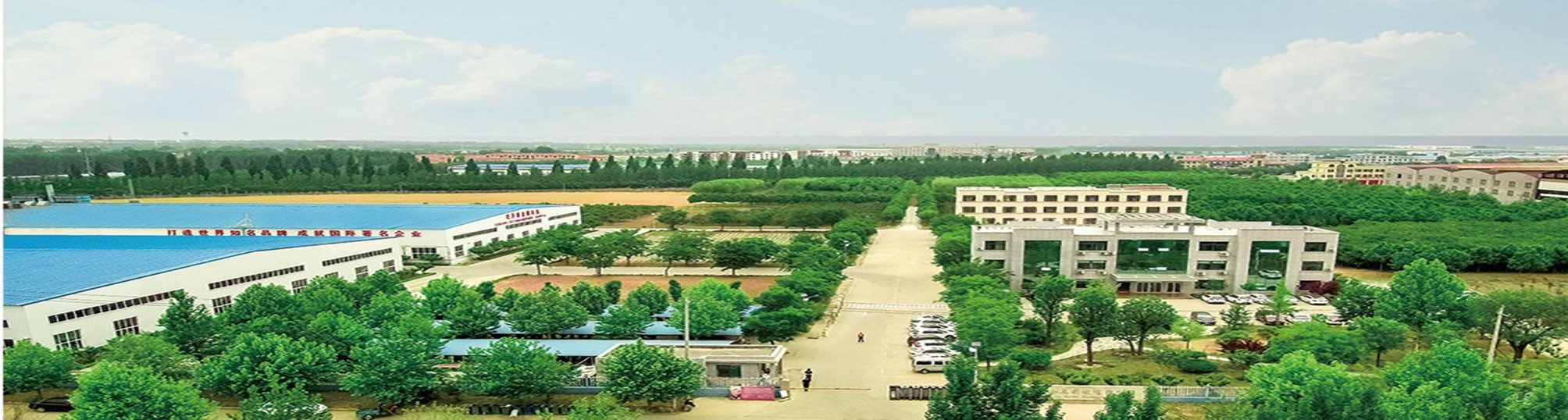 1583313620428639.jpg 青島旺升源金屬科技有限公司.jpg